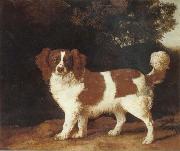 George Stubbs Dog oil on canvas